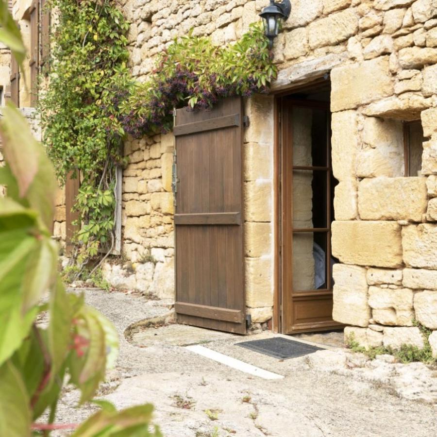 Domaine De Cantegrel - Gites De Charme Et Suite Troglodyte En Perigord Vitrac  Exterior foto
