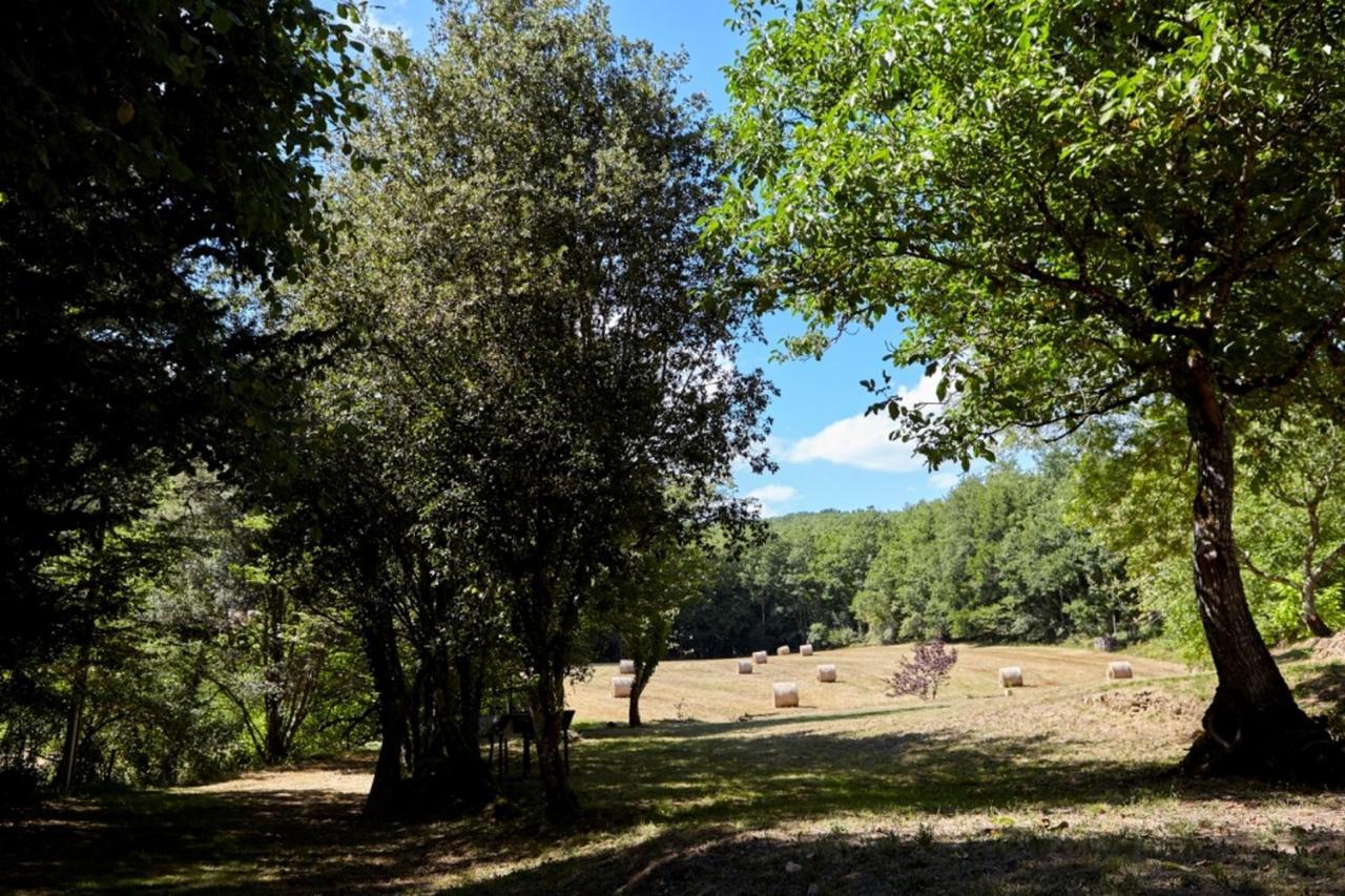 Domaine De Cantegrel - Gites De Charme Et Suite Troglodyte En Perigord Vitrac  Exterior foto