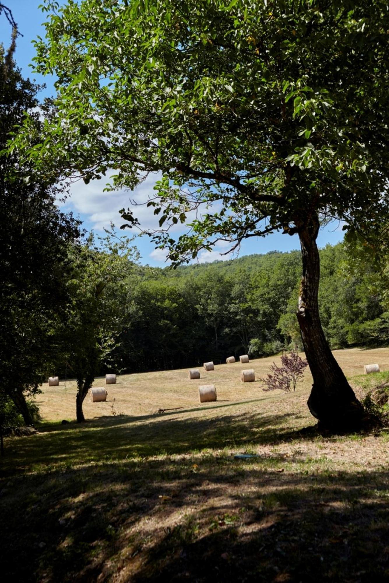 Domaine De Cantegrel - Gites De Charme Et Suite Troglodyte En Perigord Vitrac  Exterior foto